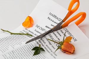a marriage certificate and a rose torn in half
