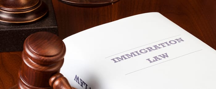 Immigration Lawyer